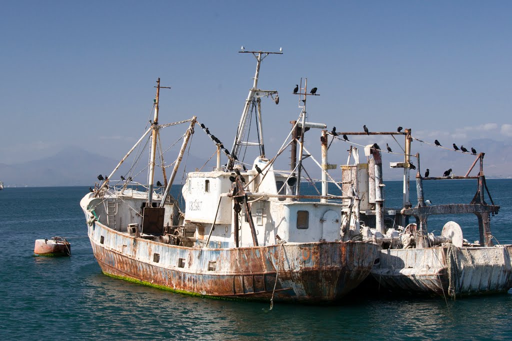 Abandoned ships by John Arntz