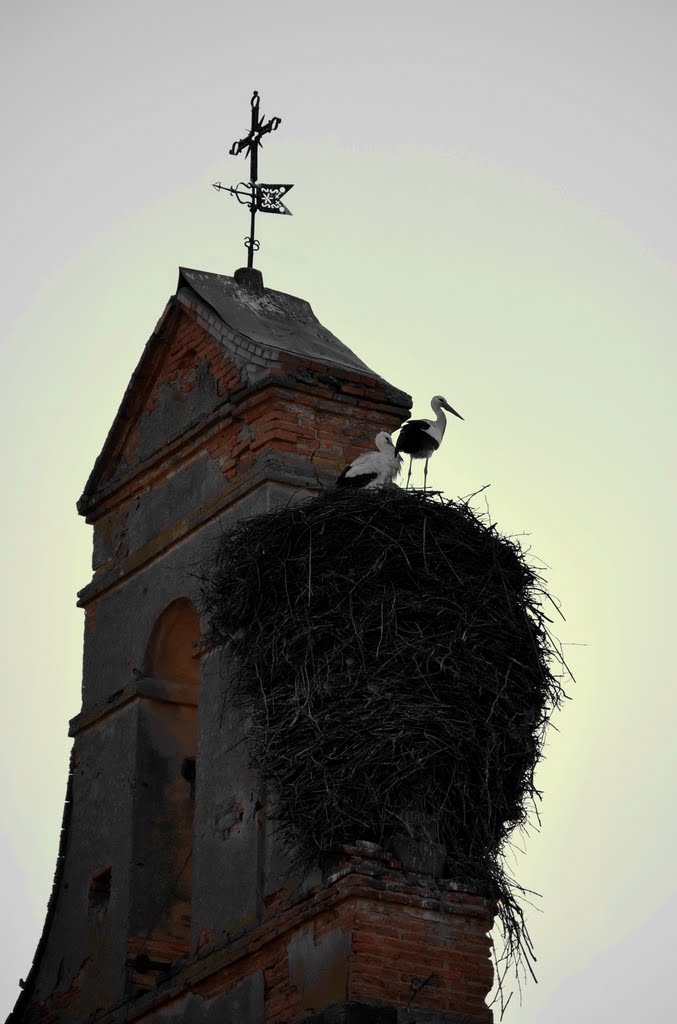 Por San Blas... la Cigüeña Verás (Iglesia de Cogorderos) by M.Rivas