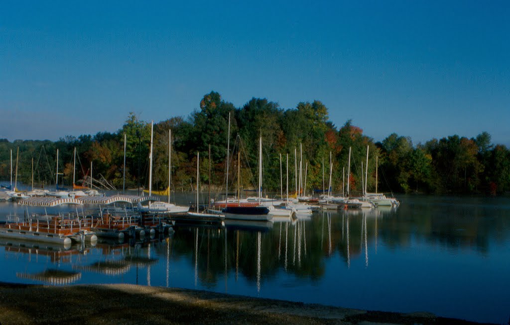 Clearfork Lake Marina by DB Picking