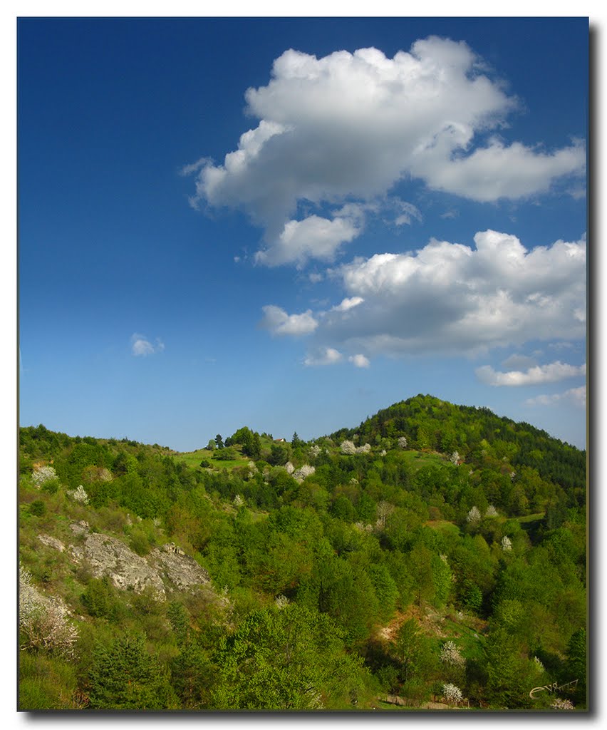 Springtime in the Rhodopes / Пролет в Родопите by Eugene Hristov (evg7…