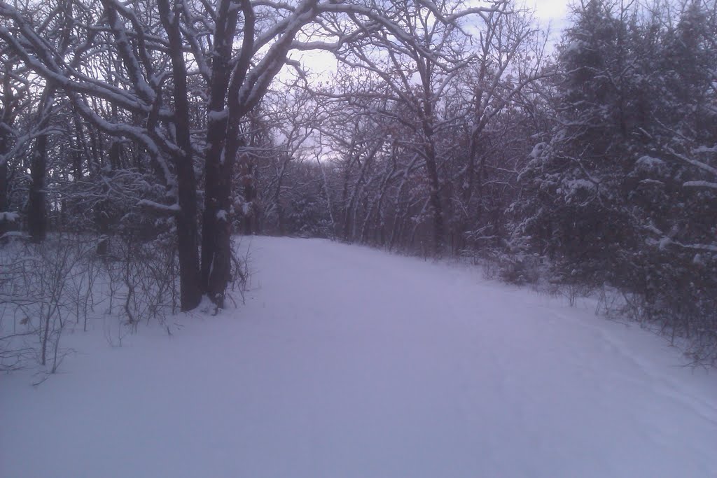 Access road in Snow by ckolar