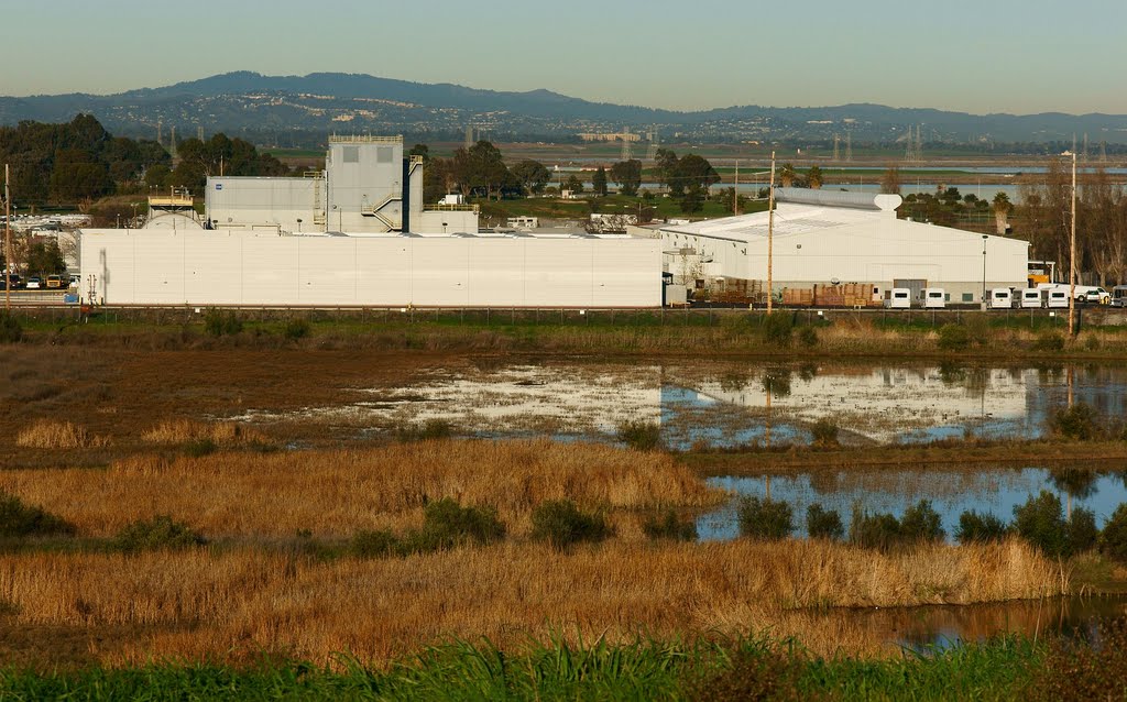 View from the top of the hill near WPCP, Sunnyvale by Lu Wei