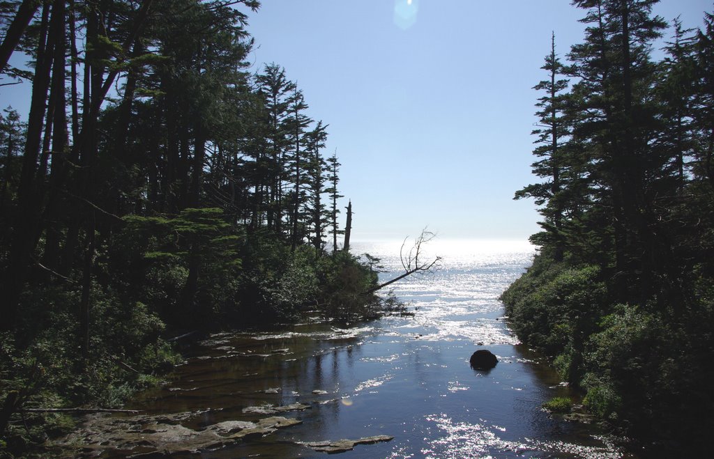 Looking Over The Falls - Nitinat Triangle Canoe Route '07 by kflow