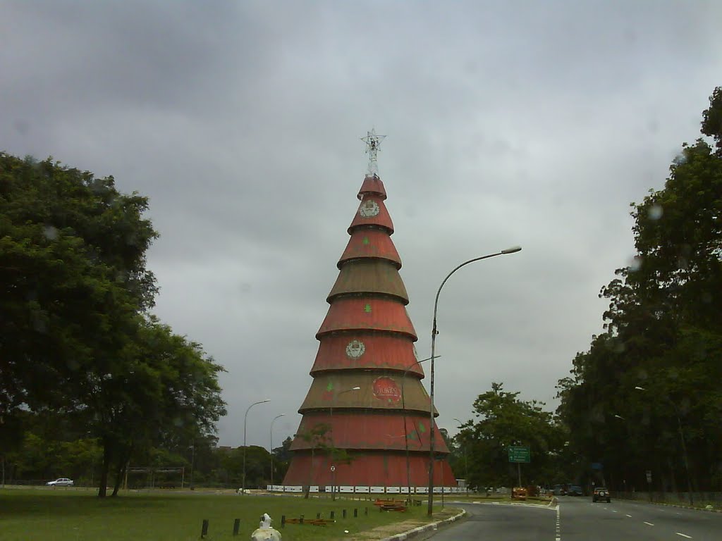 Árvore de Natal do Ibirapuera 2010 by mtheogenes