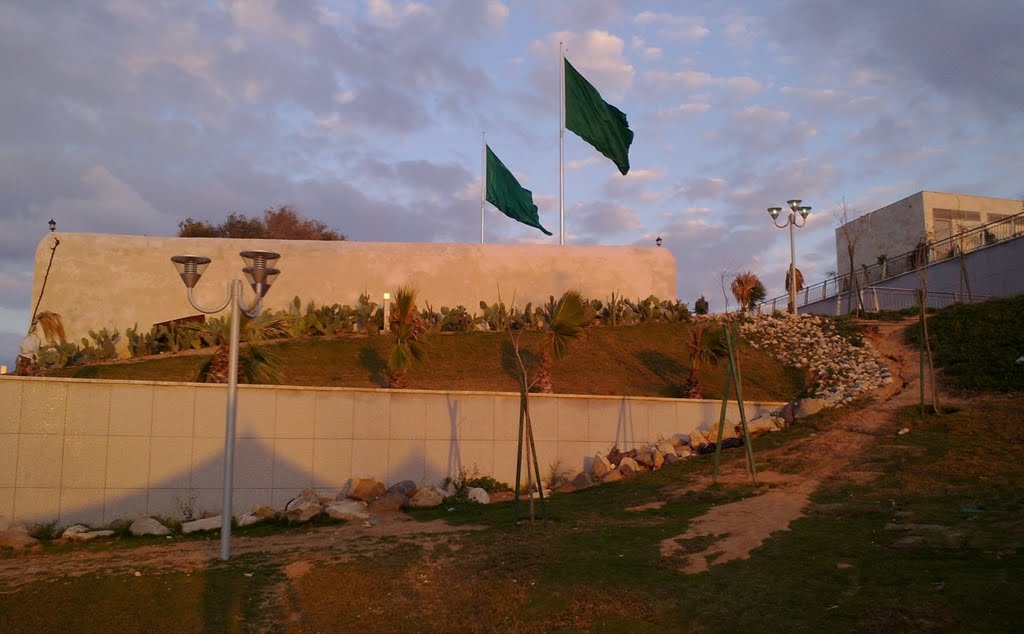 The libyan flag "before" by Dr. Elmusrati