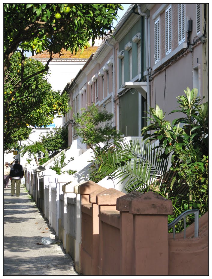 Rua Joaquim Sabino Faria by André Barragon