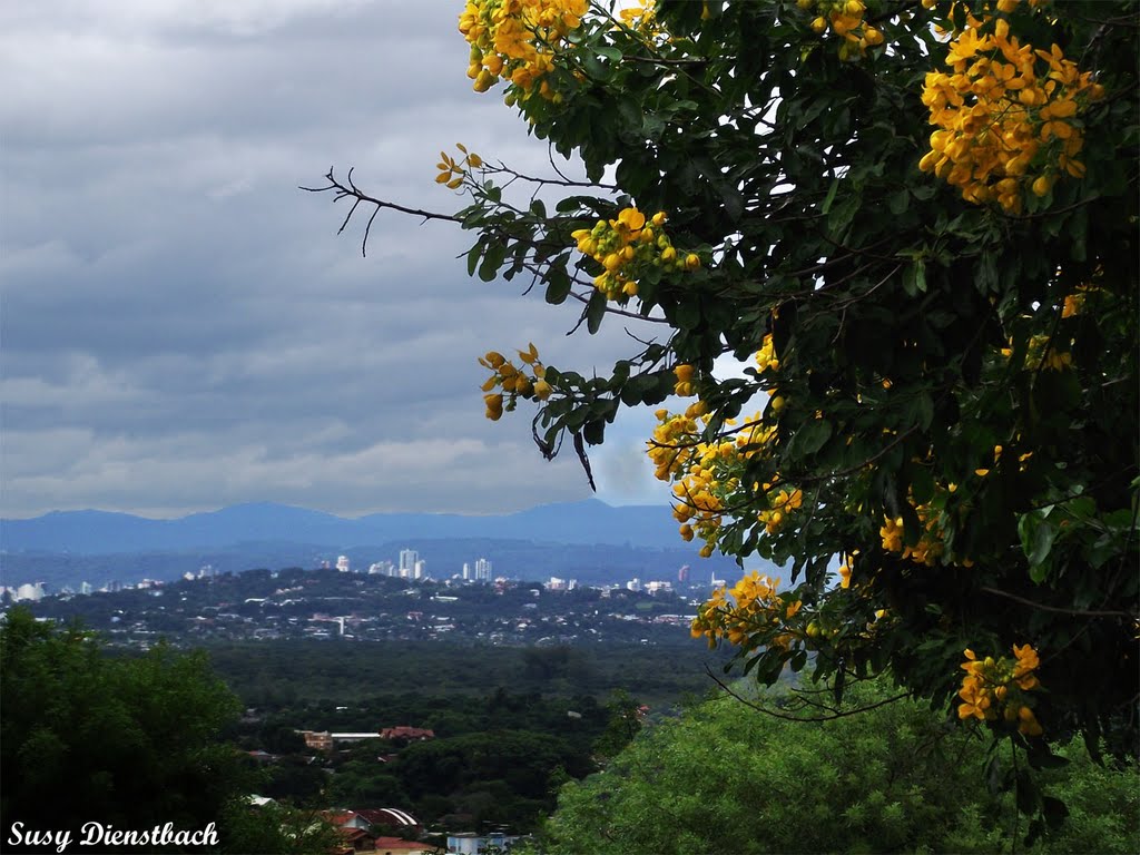 São Leopoldo vista do bairro Jardim América... By SusyDienstbach by Susy Dienstbach