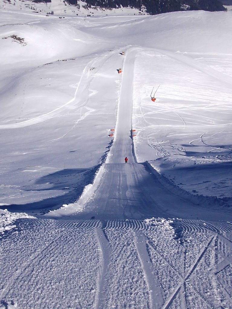 Speedtrack on the Seiseralm/Alpe de Siusi by Motte