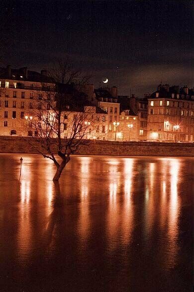 Notre Dame, Paris, France by chrishyde