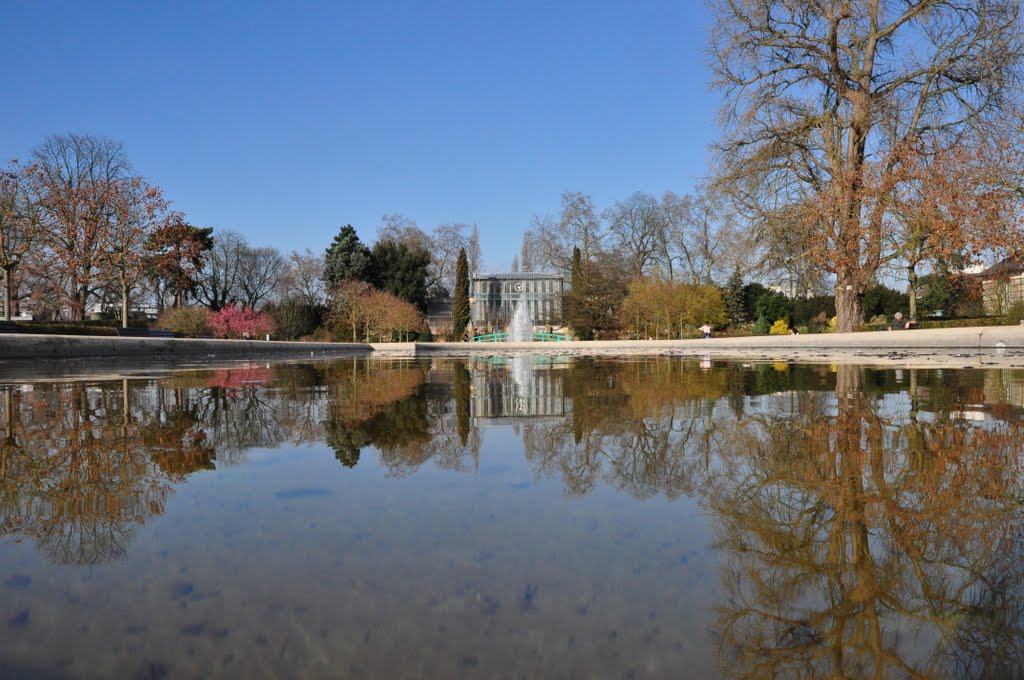 Jardin des plantes by COQUIL Pierre