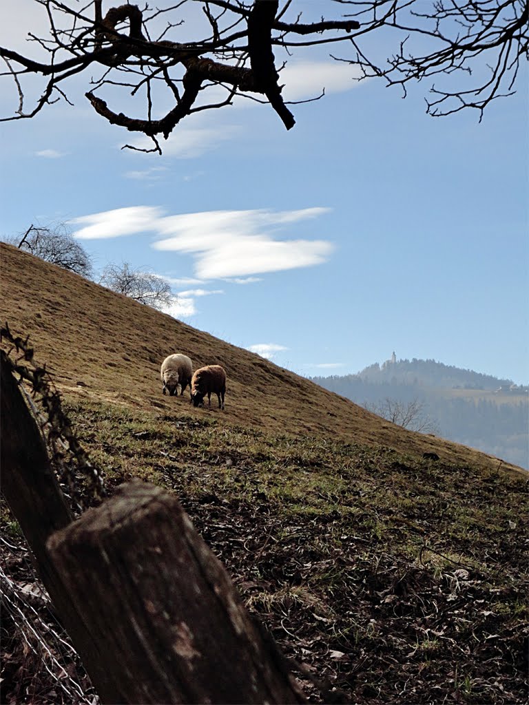 Leutschach (Schloßberg) - Lučane (Gradišče) by wanderer_popotnik