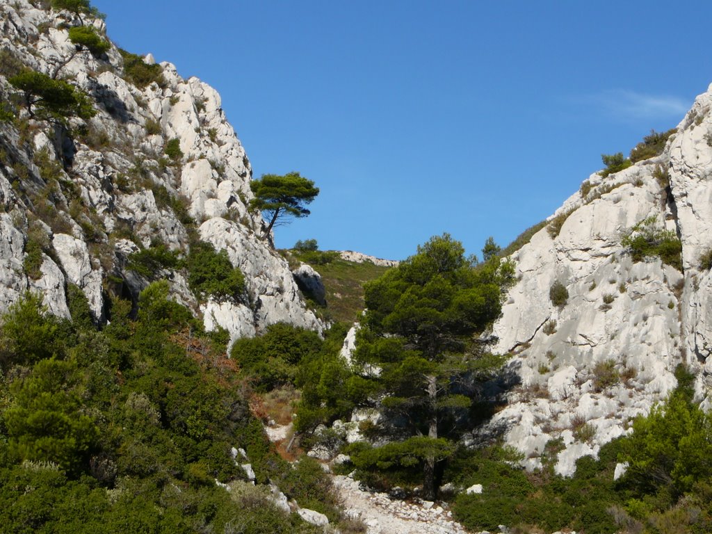 Chemin d'Ensues by Stephio