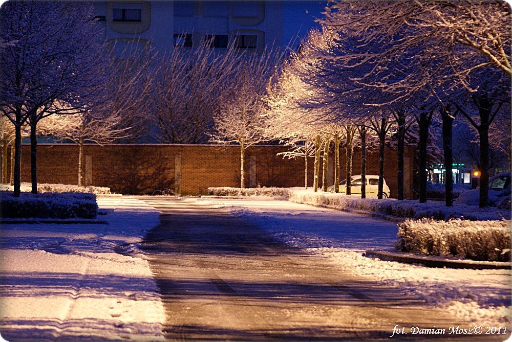 Douai, France by Damian Mosz