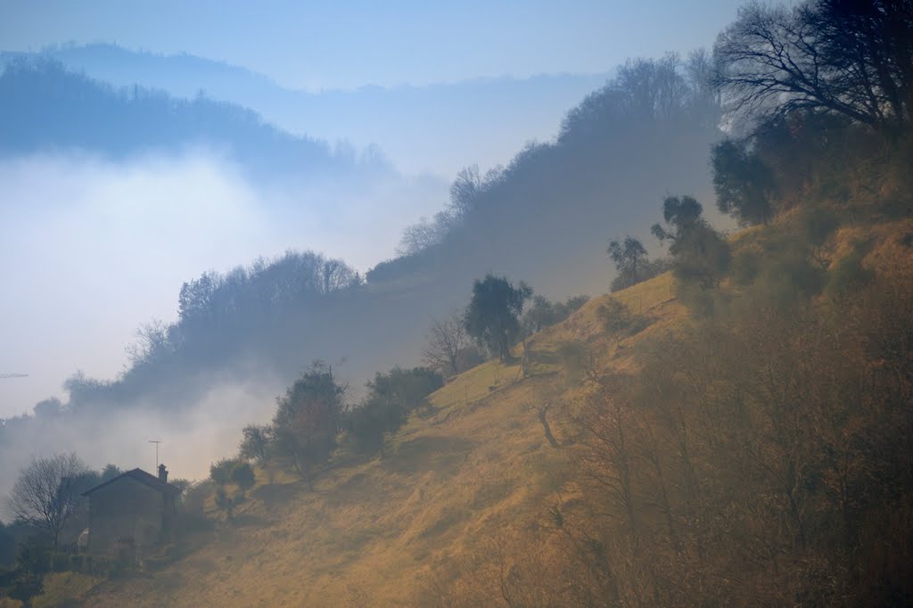 Bassano del Grappa, Province of Vicenza, Italy by Enrico Nespolo