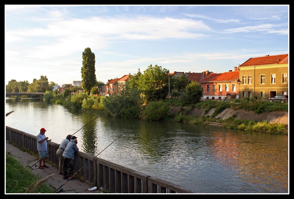 Fishermen Chatting by mandrafloare