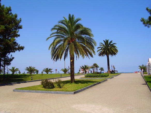 Boulevard batumi by Zura Nemsitsveridze