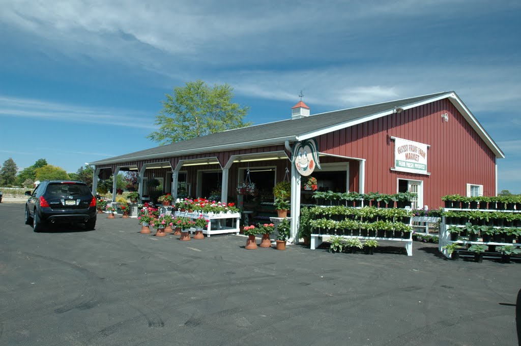 Glossy Fruit Farm Market by Fuzzy6699