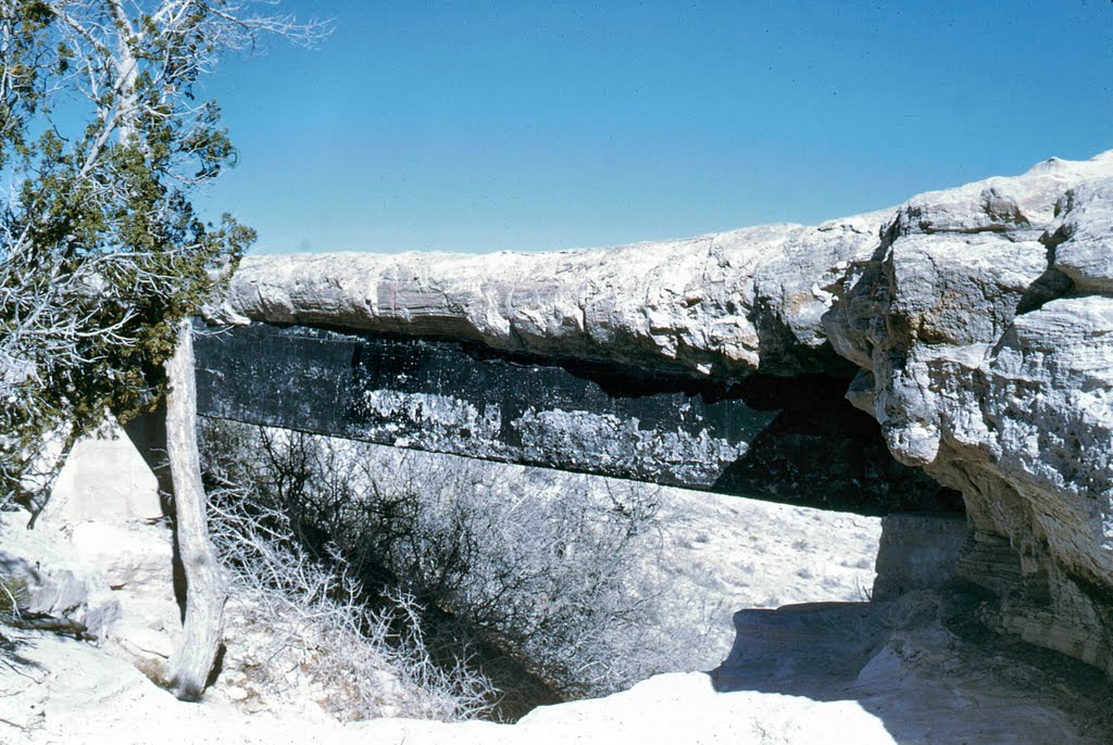 -Arizona- Petrified Forest / Agate Bridge (1959) by Markus Freitag