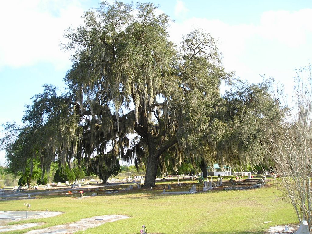 Final resting place, Ocoee, Florida by pathcan