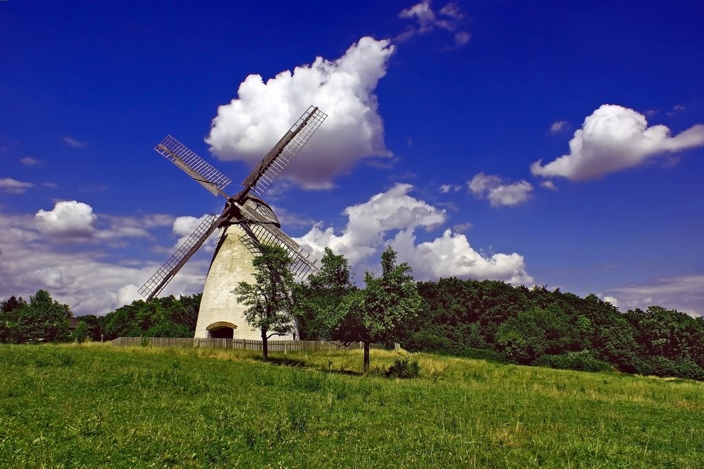 Die 1853 erbaute Windmühle auf dem Höxberg steht unter Denkmalschutz. by Reiner Vogeley