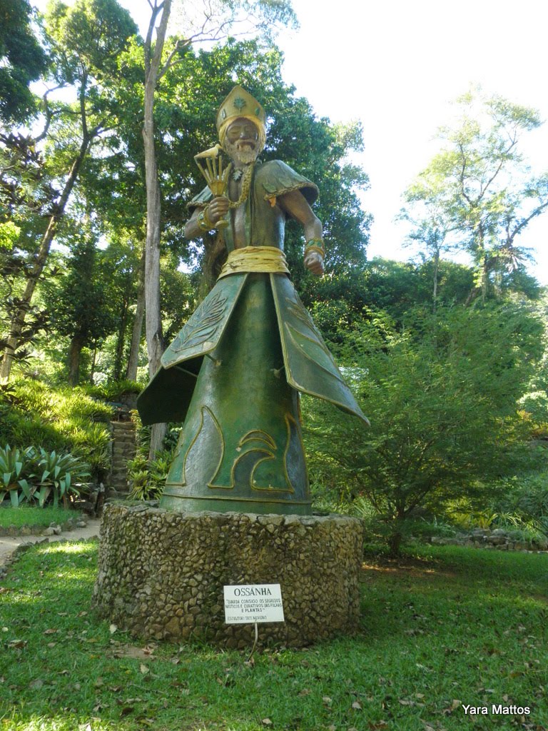 Jardim Botanico,Rio de Janeiro,RJ,Brasil by Yara Mattos