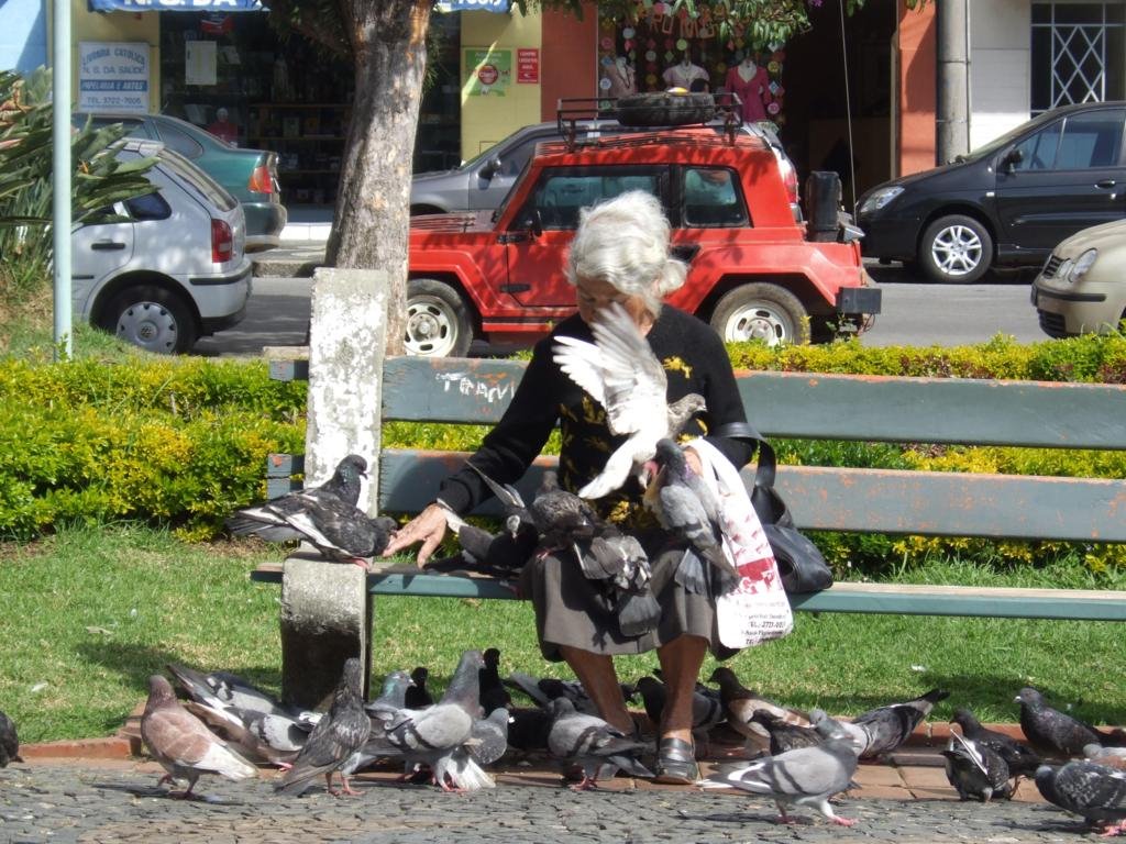 Pidgeons in Poços de Caldas by Urso Branco