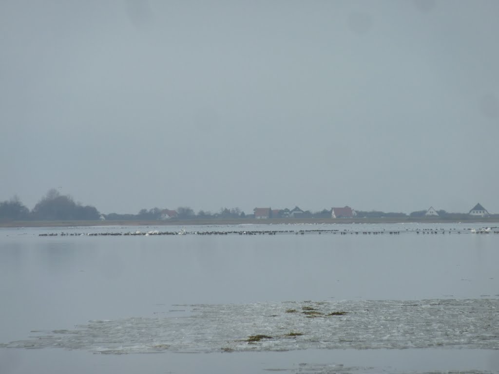 Winter auf Hiddensee: Hinter dem Bodden die Häuser von Vitte by Panzerknacker