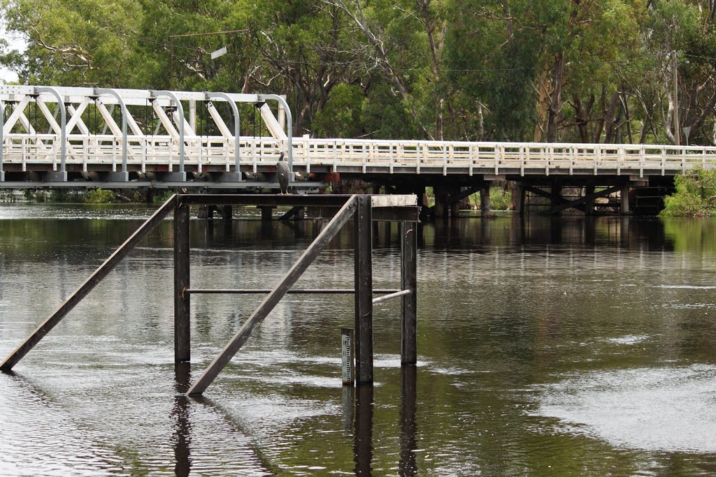 River Gauge shows above Minor Flood Level... by Whroo70