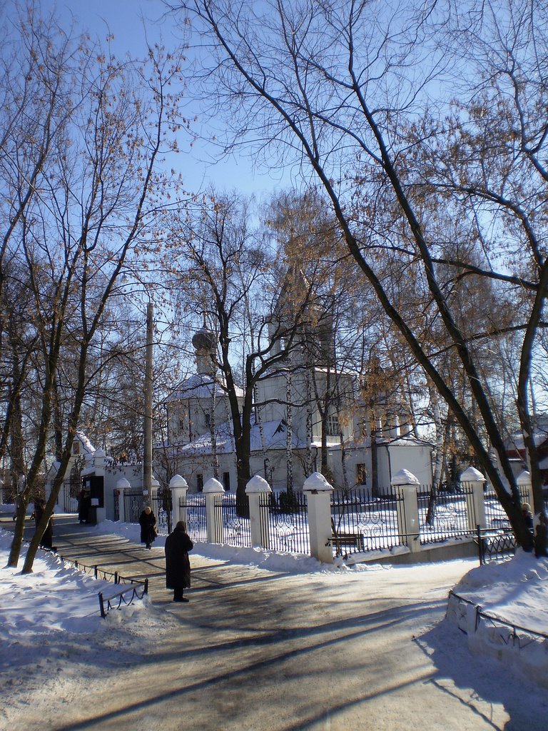 Храм Положения Ризы Пресвятой Богородицы в Леонове by Pyotr