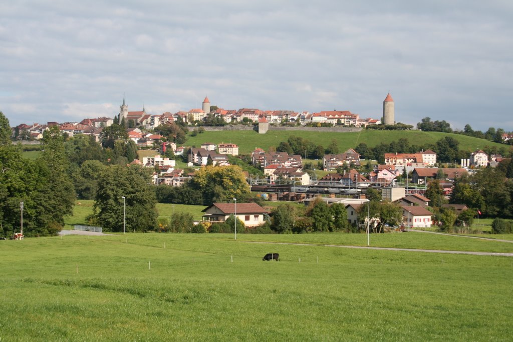 Vue de Romont, depuis le sud-ouest by lramoni