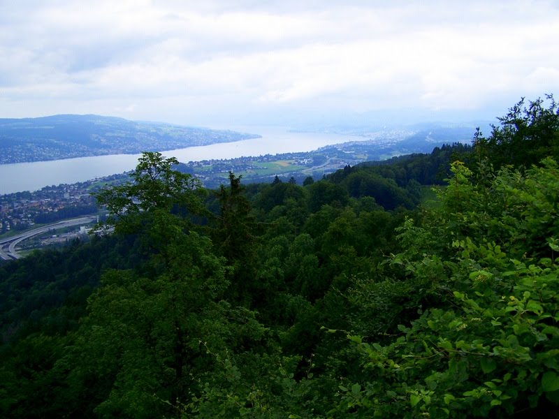 Blick vom Uetliberg aquf den Zürichsee by Ralf Houven