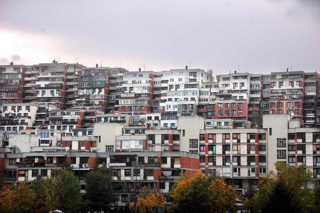 Sarajevo by Teča sa Dunava