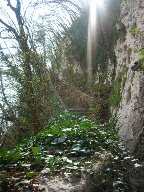 Madonna della Corona, Spiazzi - Sentiero per il Santuario by Alessandro Ferrarese©