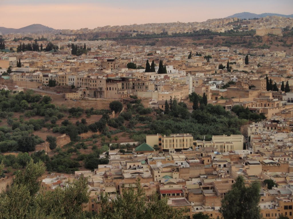 MOROCCO - FEZ - General City View from Fort Chardonnet . by zbizar