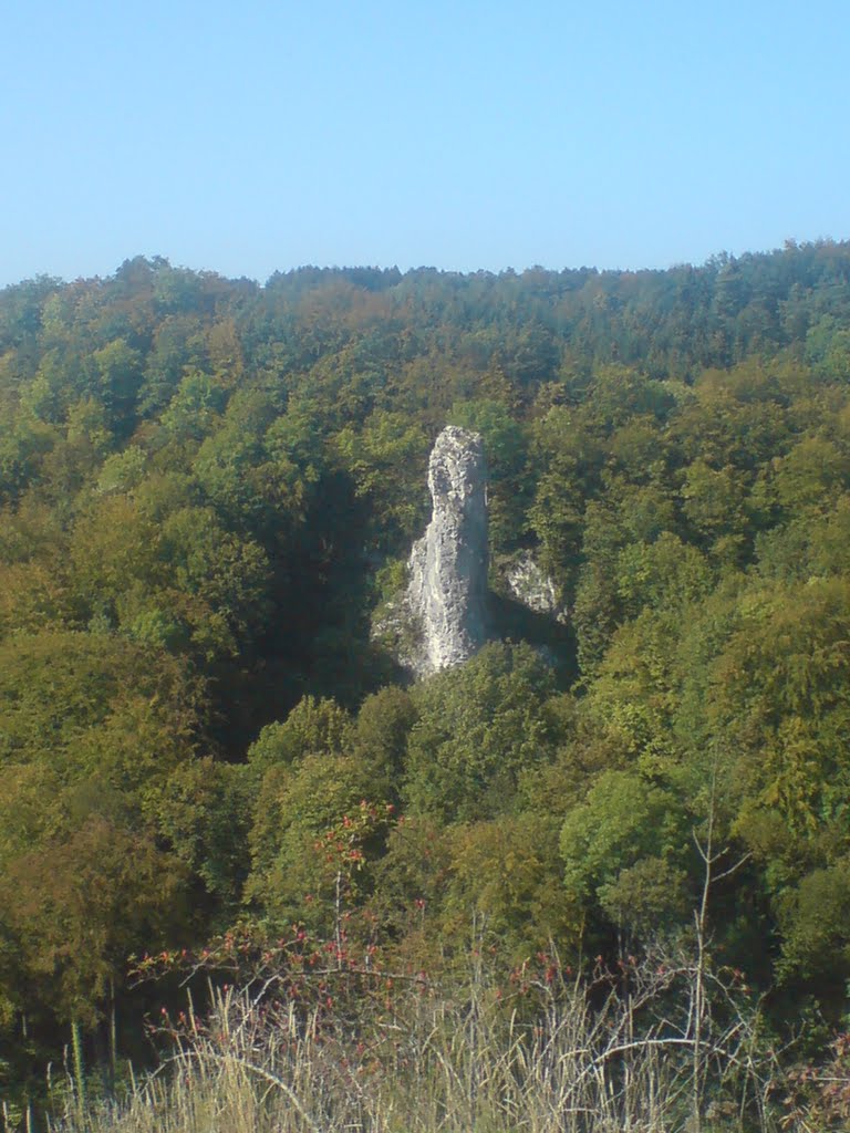 Blick zum Schauertaler Turm von der Streitburg by lisa96515