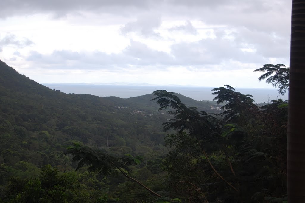 View from Ceiba Country Inn by conradthedog