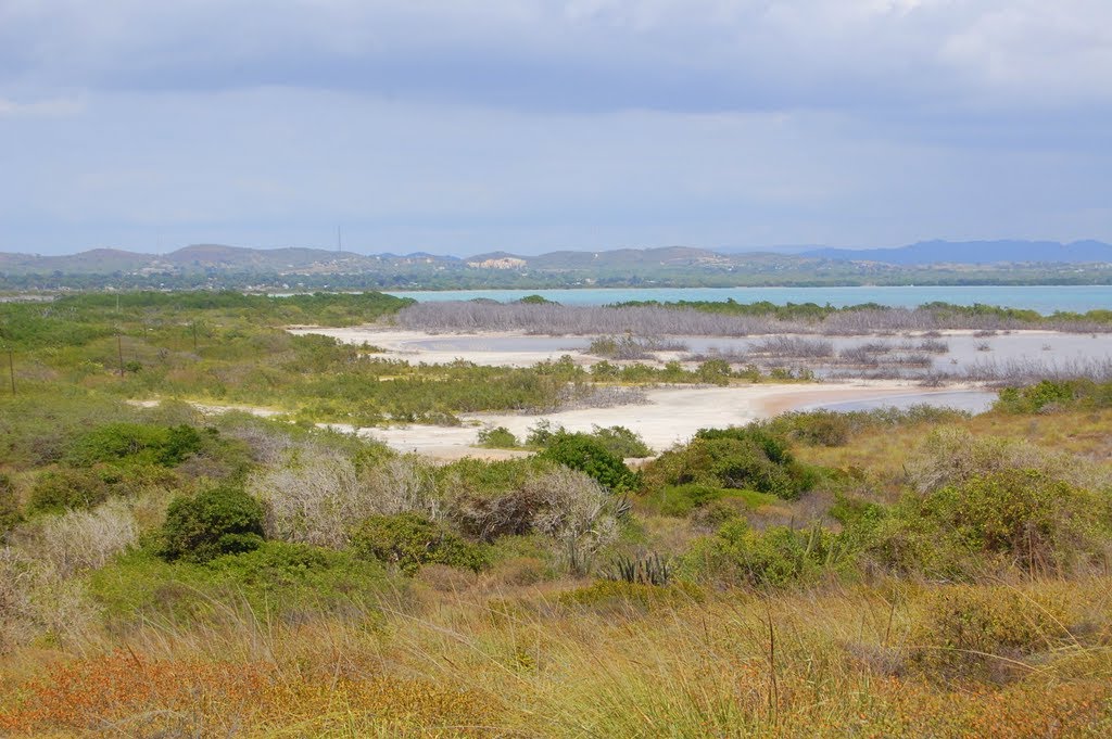 Salt Flats (looking toward Cabo Rojo) by conradthedog