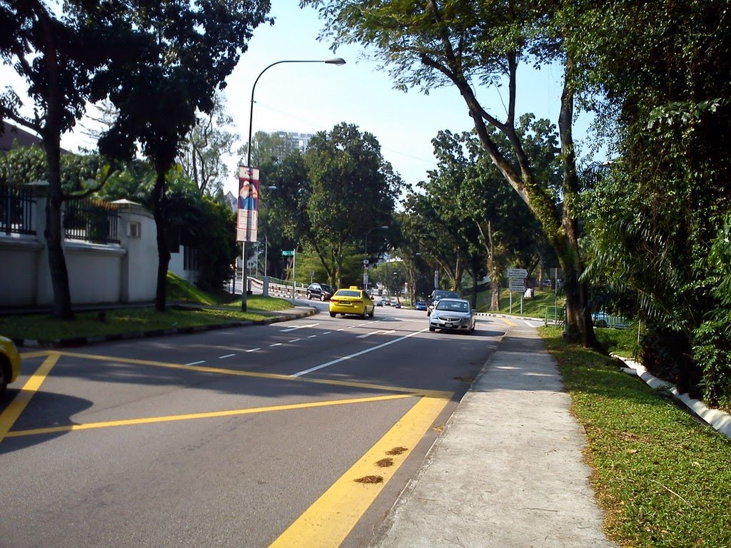 Along Tanglin Road by kimloon