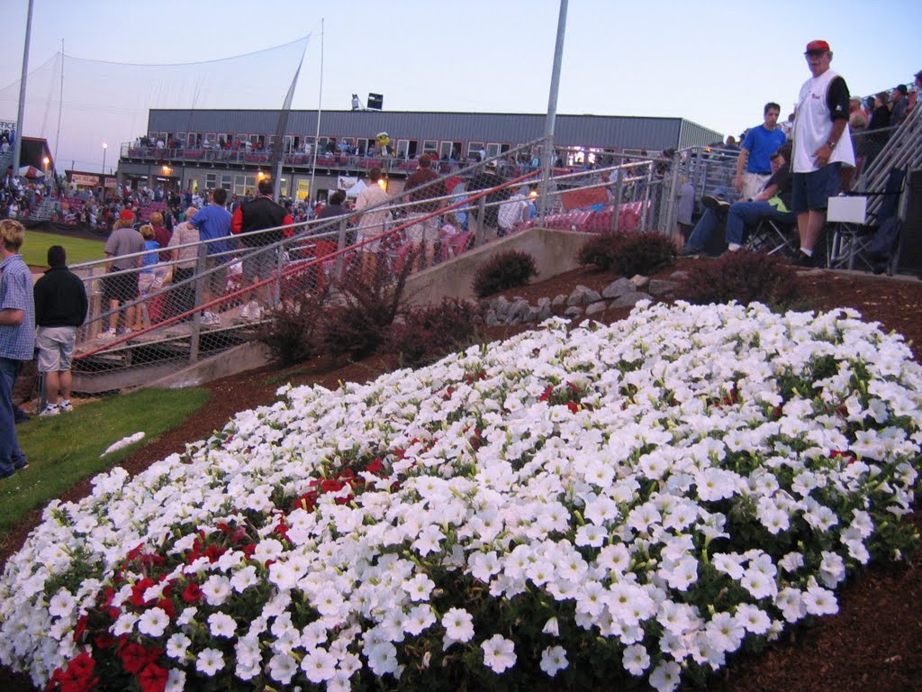 Volcanoes Stadium and Flower Bank by ghentmills