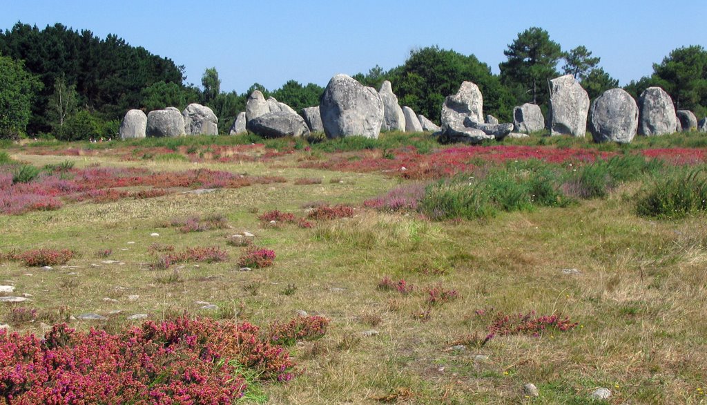 Landscape - Carnac by Massimiliano DC