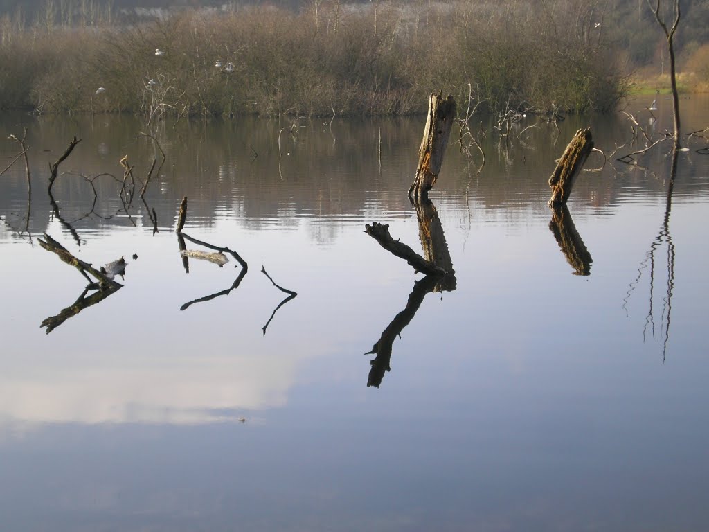 Still Waters, Chafford Hundred, Grays, Thurrock, Essex, England by James ADV