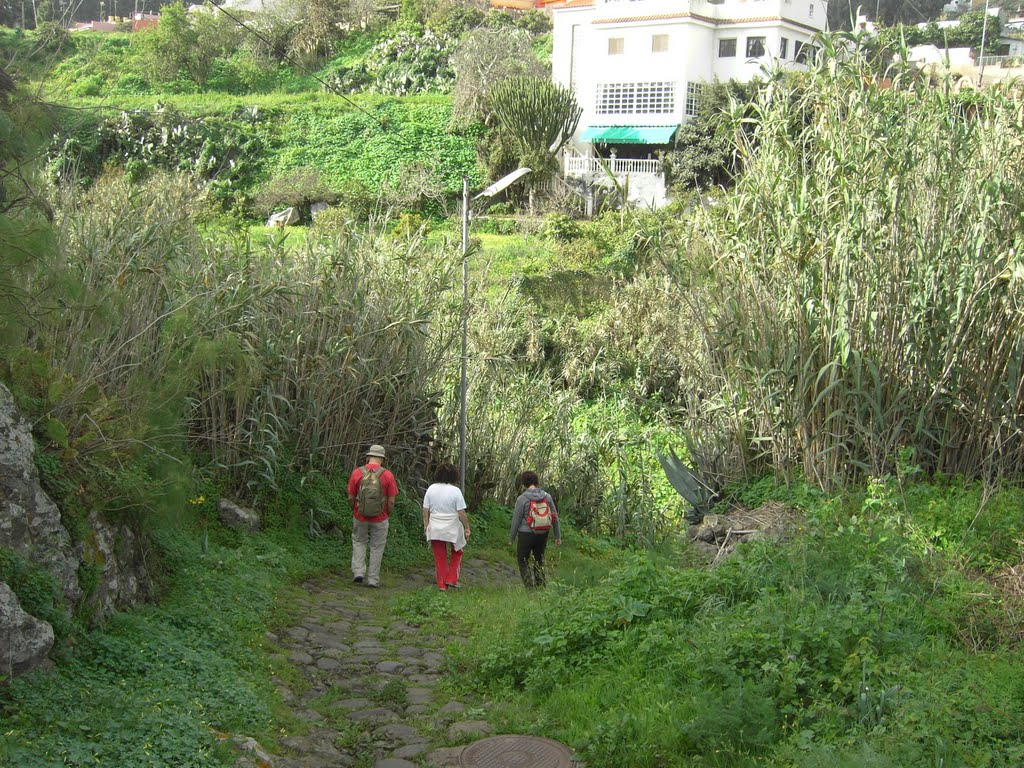 Barranco de Santa Brígida by Villa de Santa Brígi…