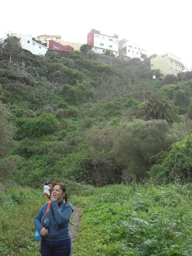 Barranco de Santa Brígida by Villa de Santa Brígi…