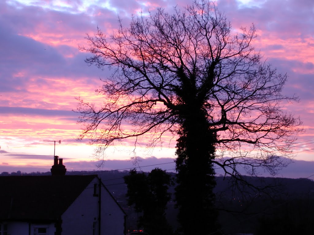 February sunrise, Dewar Drive by Phil Beecher