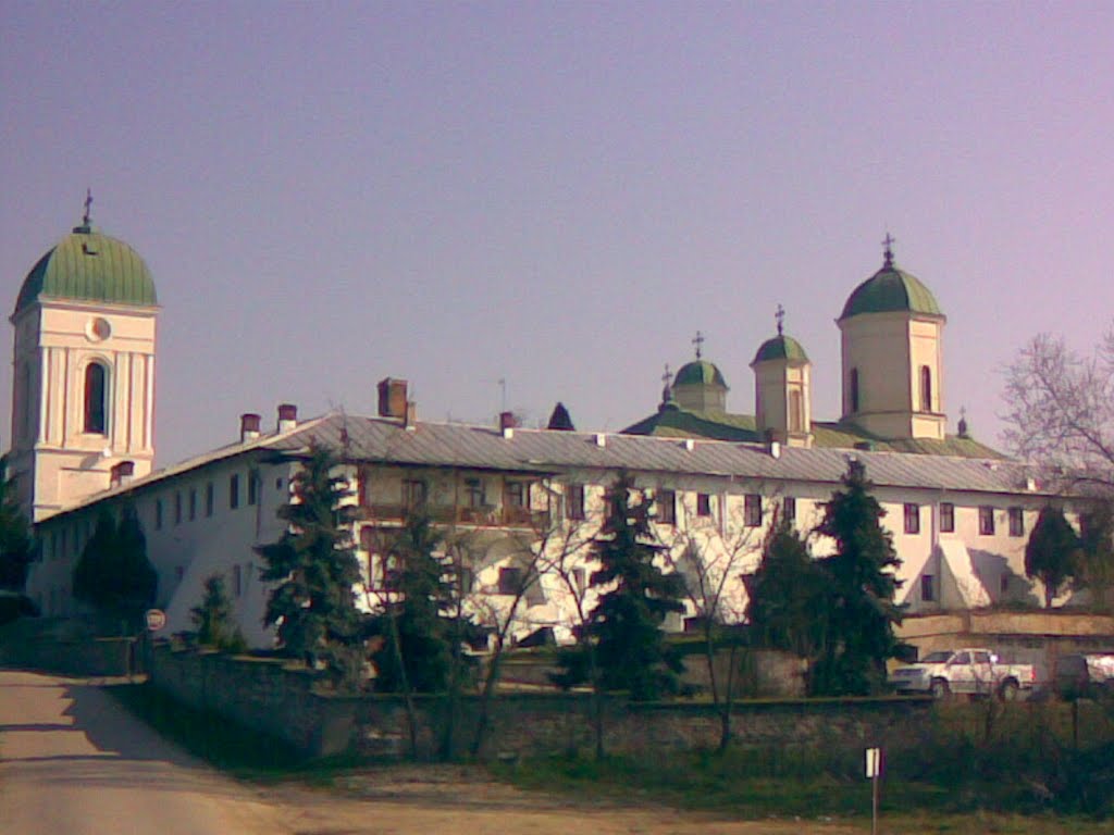 Mănăstirea Cernica by talpeanu