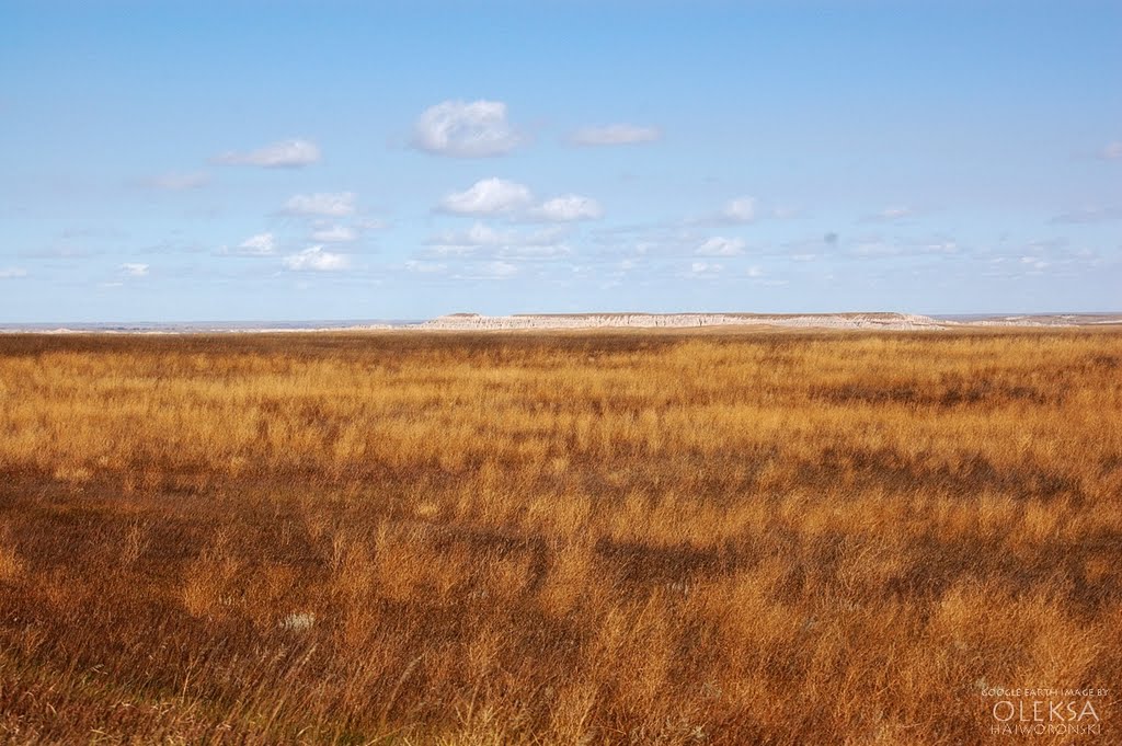 Prairie by Oleksa Haiworonski