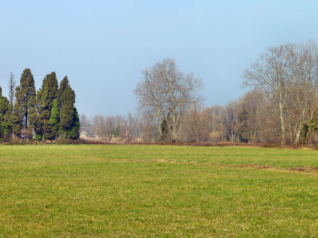 Noves: La conversation des arbres. by Jean-Louis Delegue