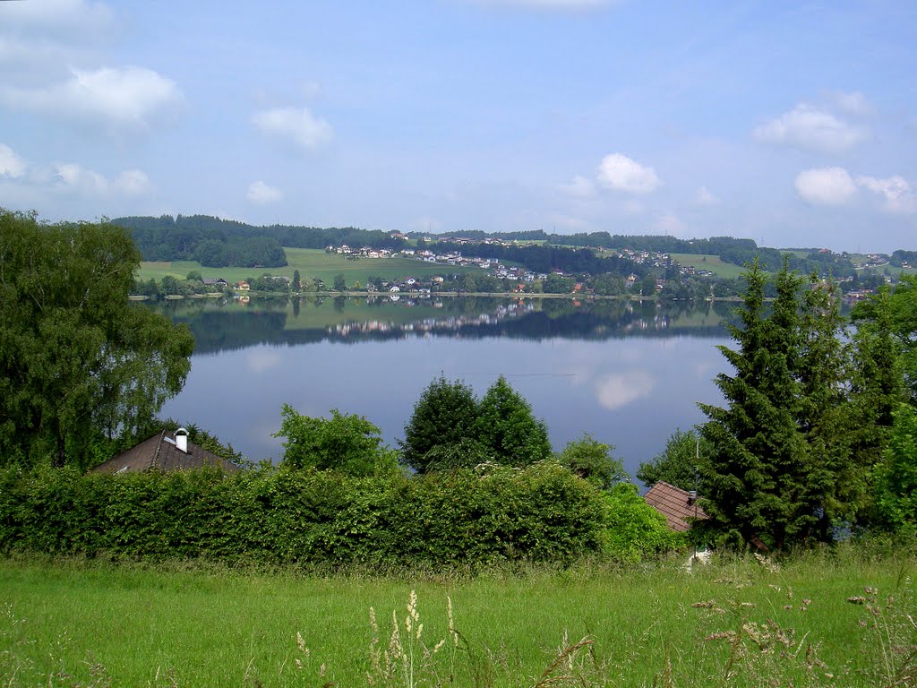 Blick über den Obertrumersee by adi falb