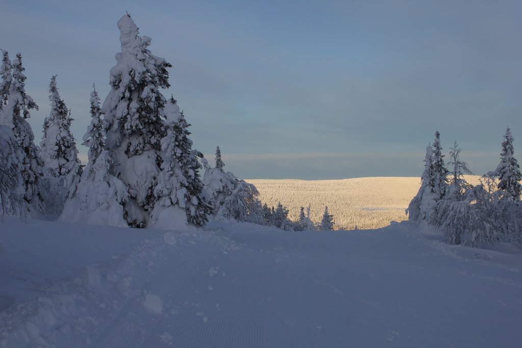 View from the Iso-Syöte - back slope 7 by Juha Levy