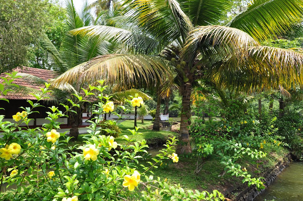 Coconut Lagoon Hotel, Kumarakom, Kerala, India. by Nicola e Pina India …